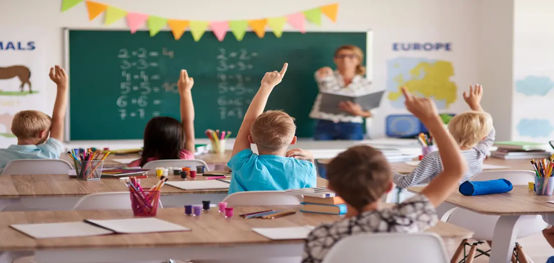 Colegio Senda Fleming | Licenciatura en Pedagogía